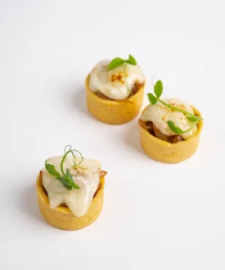 New Probrie Caramelised Balsamic Onion Tart 3ject