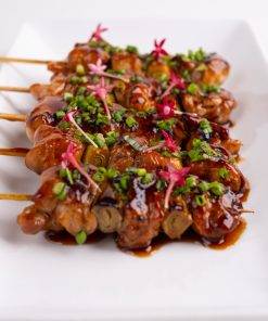 Chicken Yakitori 2 1