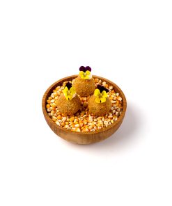 1website Arancini