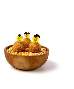 2website Arancini