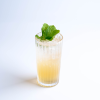 Arak Mint Julep 1