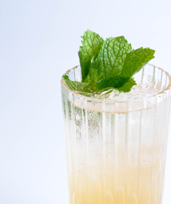 Arak Mint Julep 3