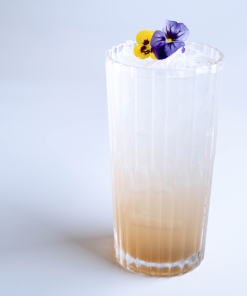 Elderflower Collins 3