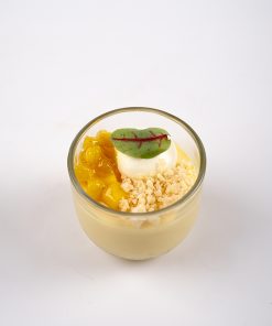Mango Pudding Website3