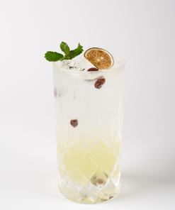 Rum Raisin 1