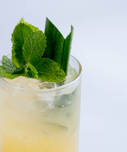 Tropical Punch 3