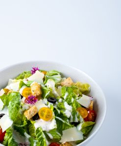 Website Caesar Salad1