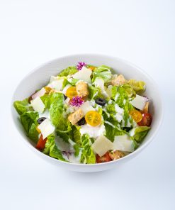 Website Caesar Salad3