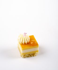 Website Mango Coconut Mouse Cake2