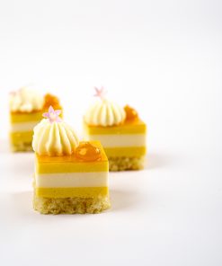 Website Mango Coconut Mousse Cake1