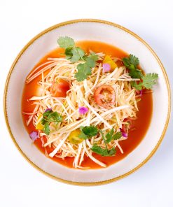 Website Mango Papay Salad3