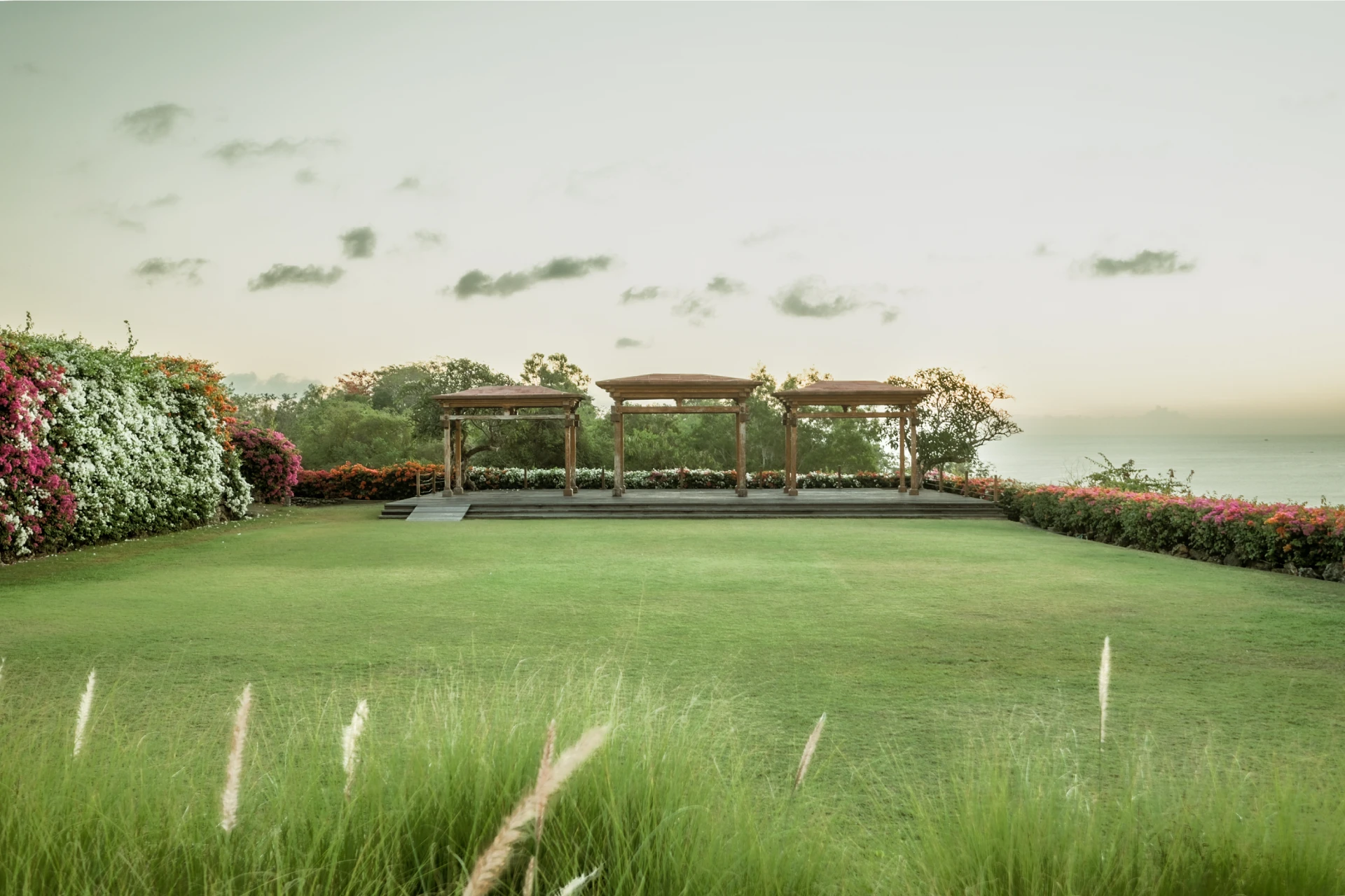 Lower Courtyard Lawn